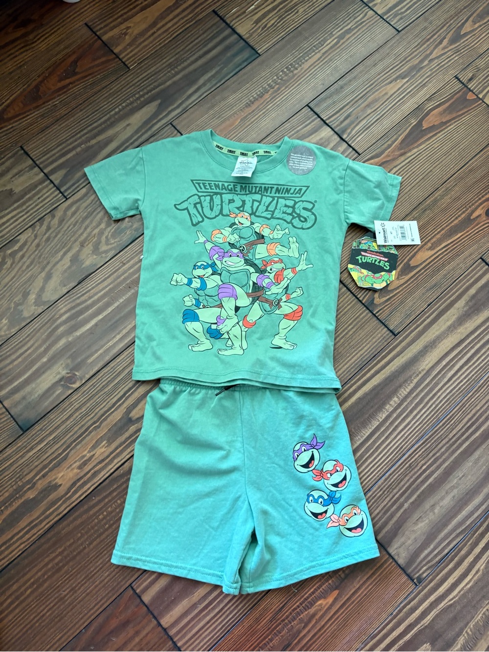 Nickelodeon Teal Green Toddler Tee and Shorts Set